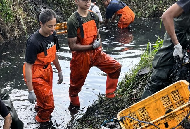 pengolahan sampah plastik di Indonesia dari Avoskin